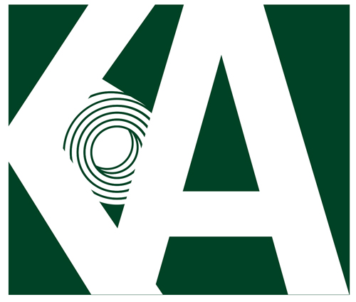 فولاد کی آشیان امیر